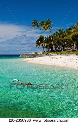 Stock Photograph - Snorkeling off Fadol Island, Kai Islands, Moluccas, Indonesia.. Fotosearch
