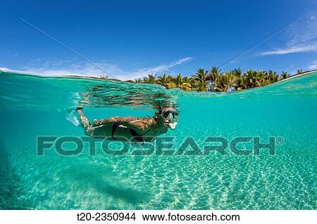 Picture - Snorkeling off palm-lined Island, Fadol, Kai Islands, Moluccas, Indonesia.. Fotosearch