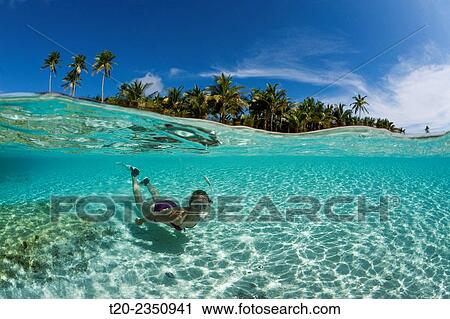 Snorkeling off palm-lined Island, Fadol, Kai Islands, Moluccas, Indonesia. View Large Photo Image Stock Image - Snorkeling off palm-lined Island, Fadol, Kai Islands, Moluccas, Indonesia.. Fotosearch