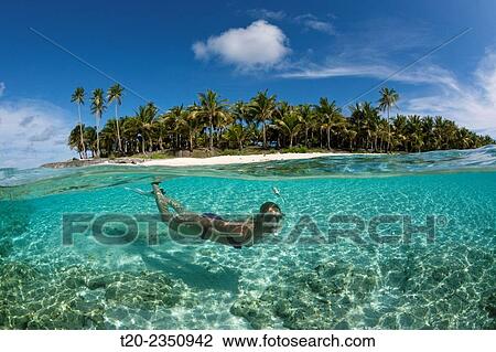 Snorkeling off palm-lined Island, Fadol, Kai Islands, Moluccas, Indonesia. View Large Photo Image Stock Image - Snorkeling off palm-lined Island, Fadol, Kai Islands, Moluccas, Indonesia.. Fotosearch