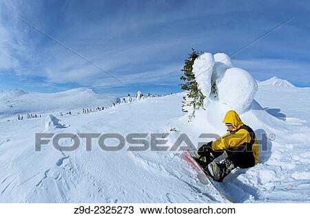 Stock Image - Snowboarder in alpine, Hudson Bay Mountain, Smithers, British Columbia.. Fotosearch