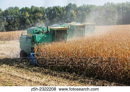 Stock Photo - The Russian Federation, Belgorod region, harvesting.. Fotosearch