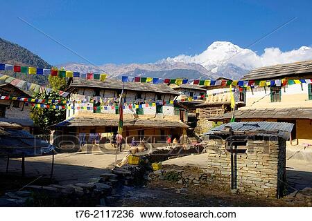 traditional Gurung houses in Ghandruk village in the Annapurna region of Nepal. View Large Photo Image Stock Photograph - traditional Gurung houses in Ghandruk village in the Annapurna region of Nepal.. Fotosearch