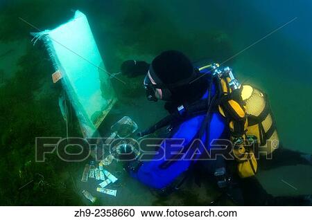 Stock Image - Underwater artist Yuriy Alexeev (Yuri Alekseev) paints a picture under water. Lake Baikal, Listvyanka, Irkutsky District, Irkutsk Oblast, Siberia, Russia, Eurasia.. Fotosearch