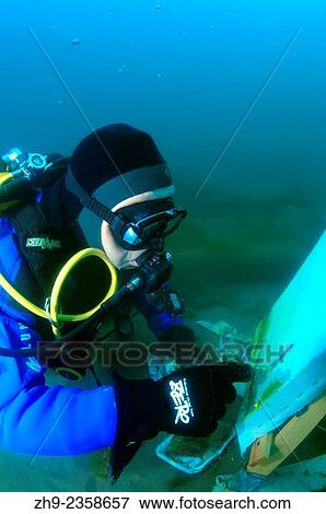 Stock Photo - Underwater artist Yuriy Alexeev (Yuri Alekseev) paints a picture under water. Lake Baikal, Listvyanka, Irkutsky District, Irkutsk Oblast, Siberia, Russia, Eurasia.. Fotosearch