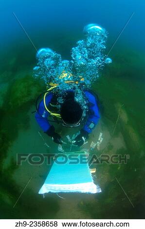 Underwater artist Yuriy Alexeev (Yuri Alekseev) paints a picture under water. Lake Baikal, Listvyanka, Irkutsky District, Irkutsk Oblast, Siberia, Russia, Eurasia. View Large Photo Image Stock Photo - Underwater artist Yuriy Alexeev (Yuri Alekseev) paints a picture under water. Lake Baikal, Listvyanka, Irkutsky District, Irkutsk Oblast, Siberia, Russia, Eurasia.. Fotosearch
