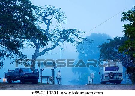 USA, Florida, Everglades National Park, Everglades City, morning fog. View Large Photo Image Stock Image - USA, Florida, Everglades National Park, Everglades City, morning fog.. Fotosearch
