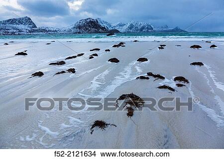 Picture - Utakleiv, Lofoten Archipelago, Nordland county, Norway, Arctic Circle, Europe.. Fotosearch