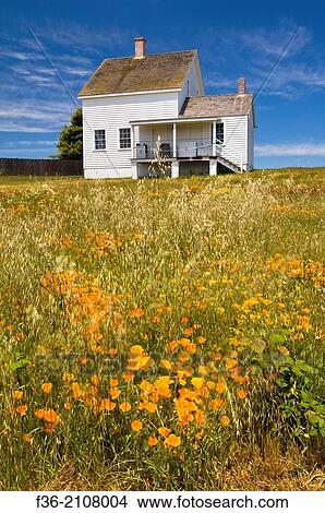 Wildflowers in Spring at Fort Humboldt State Historic Park, Eureka, California. View Large Photo Image Picture - Wildflowers in Spring at Fort Humboldt State Historic Park, Eureka, California.. Fotosearch