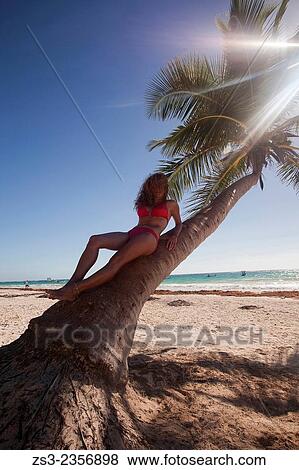Woman posing near the palm tree, Tulum, Quintana Roo, Yucatan Province, Mexico, Central America. View Large Photo Image Stock Photo - Woman posing near the palm tree, Tulum, Quintana Roo, Yucatan Province, Mexico, Central America.. Fotosearch
