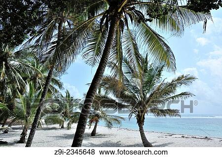 wonderful places at the inidian ocean with sandy beach and palms, Kenya. View Large Photo Image Stock Photo - wonderful places at the inidian ocean with sandy beach and palms, Kenya.. Fotosearch