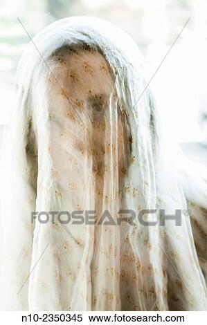 Young woman wearing a veil. View Large Photo Image Stock Photography - Young woman wearing a veil.. Fotosearch