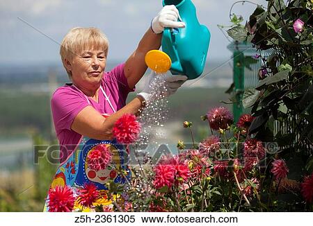 Stock Photography - A woman in a summer blossoming garden.. Fotosearch