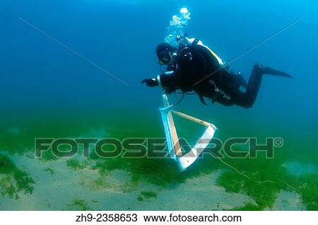 "Assistant artist swims with the picture painted by the water, the artist Underwater artist Yuriy Alexeev (Yuri Alekseev). Lake Baikal, Listvyanka, Irkutsky District, Irkutsk Oblast, Siberia, Russia, Eurasia. " View Large Photo Image Stock Image - "Assistant artist swims with the picture painted by the water, the artist Underwater artist Yuriy Alexeev (Yuri Alekseev). Lake Baikal, Listvyanka, Irkutsky District, Irkutsk Oblast, Siberia, Russia, Eurasia. ". Fotosearch