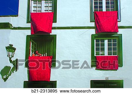 "At Icod de los Vinos, Tenerife, Canary Islands, Spain" View Large Photo Image Stock Photography - "At Icod de los Vinos, Tenerife, Canary Islands, Spain". Fotosearch