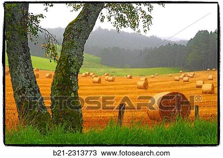 Stock Image - "August landscape near Marcoles, Cantal, Auvergne, France". Fotosearch