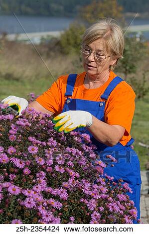 Picture - Autumn Garden. Working with the flower garden.. Fotosearch