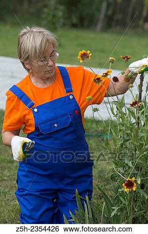 Autumn Garden. Working with the flower garden. View Large Photo Image Stock Photograph - Autumn Garden. Working with the flower garden.. Fotosearch