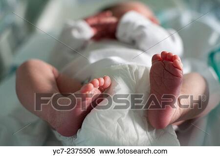 Stock Photograph - baby´s feet.. Fotosearch