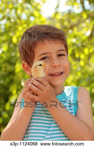Boy with chick View Large Photo Image Stock Photo - Boy with chick. Fotosearch