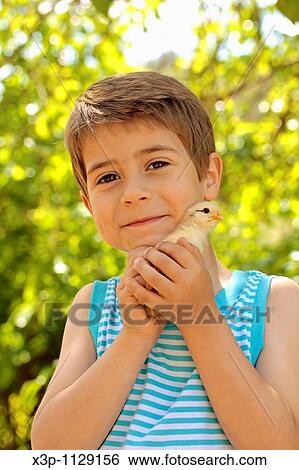 Boy with chick View Large Photo Image Stock Photograph - Boy with chick. Fotosearch