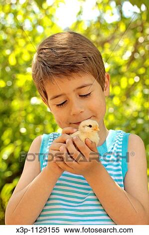 Boy with chick View Large Photo Image Stock Photography - Boy with chick. Fotosearch