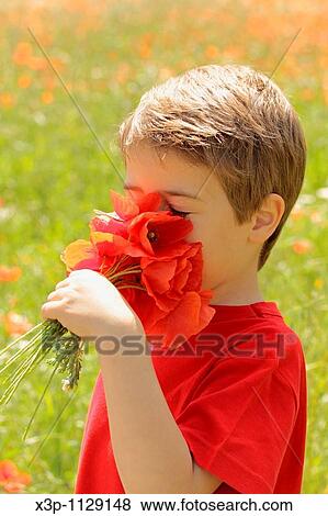 Boy with poppies View Large Photo Image Stock Photo - Boy with poppies. Fotosearch