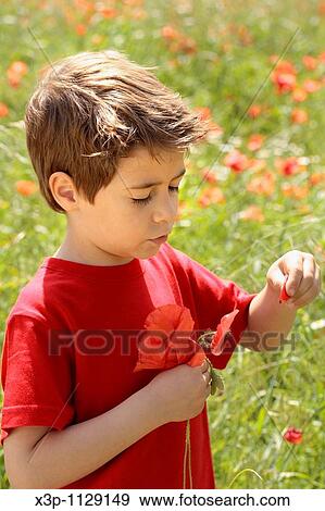 Boy with poppies View Large Photo Image Stock Photo - Boy with poppies. Fotosearch