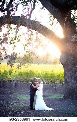Stock Image - bride and groom kiss at sunset in a scenic winery. Fotosearch