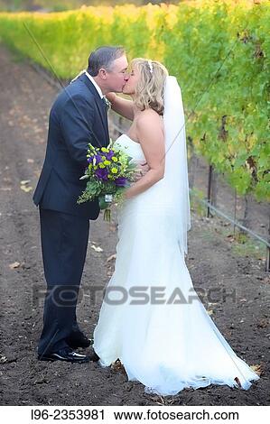 bride and groom kissing in a vineyard View Large Photo Image Stock Image - bride and groom kissing in a vineyard. Fotosearch