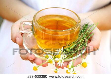 Stock Image - Camomile (Matricaria chamomilla) infusion. Fotosearch
