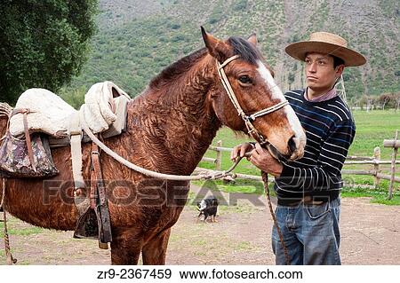 "Chilean cowboy adjusts the reins on his horse on a ranch in El Toyo region of Cajon del Maipo, Chile, South America. " View Large Photo Image Stock Photo - "Chilean cowboy adjusts the reins on his horse on a ranch in El Toyo region of Cajon del Maipo, Chile, South America. ". Fotosearch