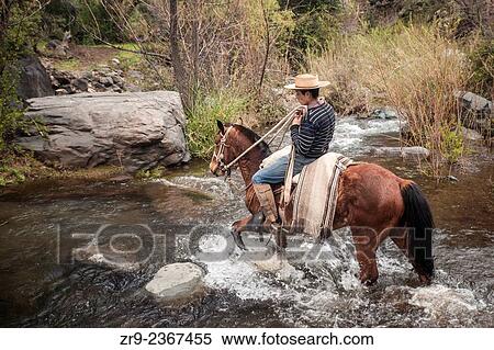 "Chilean cowboy (arriero) rides his horse across a river in El Toyo region of Cajon del Maipo, Chile, South America. " View Large Photo Image Stock Photography - "Chilean cowboy (arriero) rides his horse across a river in El Toyo region of Cajon del Maipo, Chile, South America. ". Fotosearch