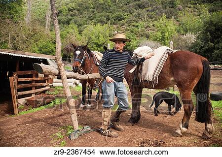 "Chilean cowboy leans against his horse on a ranch in El Toyo region of Cajon del Maipo, Chile, South America. " View Large Photo Image Picture - "Chilean cowboy leans against his horse on a ranch in El Toyo region of Cajon del Maipo, Chile, South America. ". Fotosearch