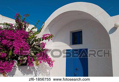 Close up of doorway and flowers in Santorini Greece in Greek Islands View Large Photo Image Stock Photography - Close up of doorway and flowers in Santorini Greece in Greek Islands. Fotosearch