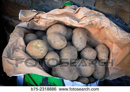 "Closeup of a sack of potatoes in front of a grocery store. Howes, Yorkshire Dales, England, UK, Europe" View Large Photo Image Stock Photograph - "Closeup of a sack of potatoes in front of a grocery store. Howes, Yorkshire Dales, England, UK, Europe". Fotosearch