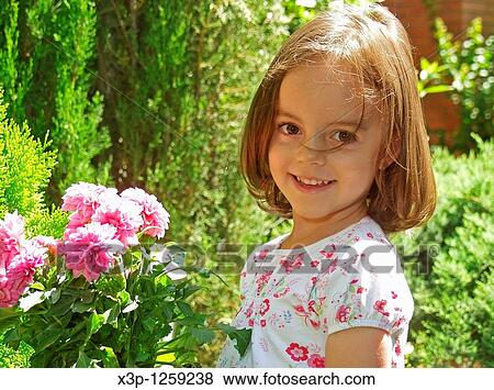Dalias Dahlia hybr View Large Photo Image Stock Photo - Dalias Dahlia hybr. Fotosearch