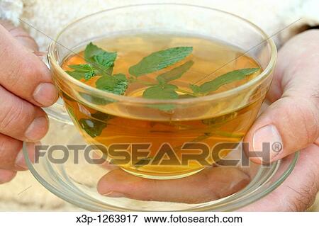 Drinking tea View Large Photo Image Stock Photo - Drinking tea. Fotosearch