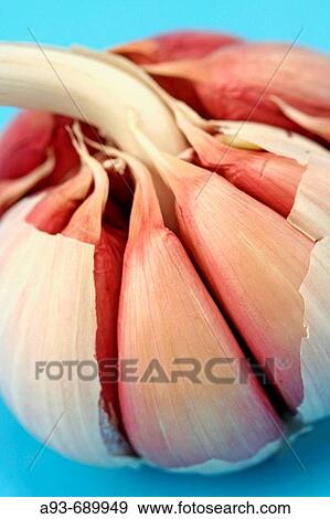 Garlic View Large Photo Image Stock Photo - Garlic. Fotosearch