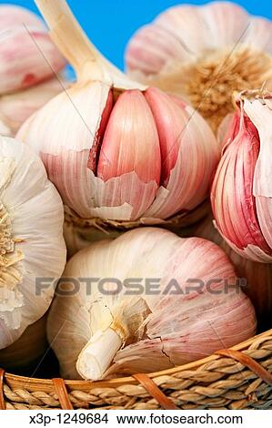 Garlics View Large Photo Image Picture - Garlics. Fotosearch