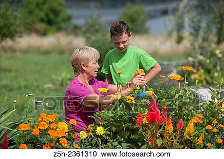 Grandmother and grandson in the summer blossoming garden. View Large Photo Image Stock Image - Grandmother and grandson in the summer blossoming garden.. Fotosearch