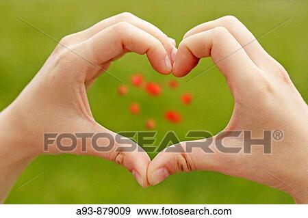 Heart symbol made from hands and flowers View Large Photo Image Stock Photo - Heart symbol made from hands and flowers. Fotosearch