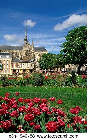 Stock Photo - "J Bocquet public garden with the Cathedral of Our Lady in background, Amiens, Somme department, Picardy region, France, Europe". Fotosearch