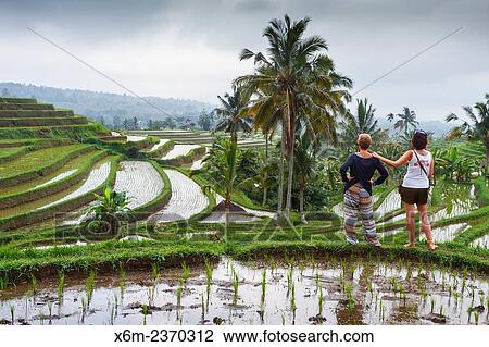 Stock Image - "Jatiluwih rice terraces. Bali. Indonesia, Asia. ". Fotosearch