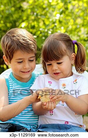 Kids with chick View Large Photo Image Stock Photo - Kids with chick. Fotosearch