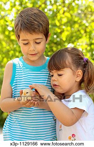 Kids with chick View Large Photo Image Stock Photograph - Kids with chick. Fotosearch