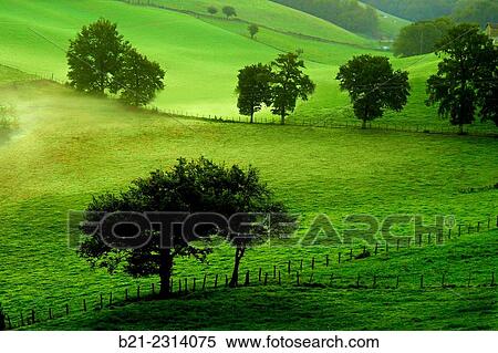 "Landscape by Saint Constant, Cantal, Auvergne, France" View Large Photo Image Stock Photography - "Landscape by Saint Constant, Cantal, Auvergne, France". Fotosearch