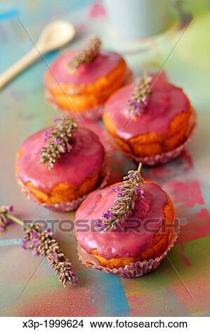 Lavender cupcakes. View Large Photo Image Picture - Lavender cupcakes.. Fotosearch