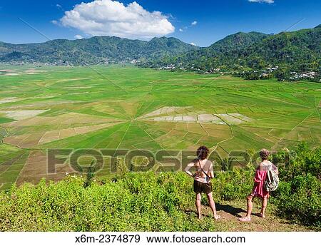 Stock Photo - "Lingko Spider web rice fields. Ruteng. Flores island. Indonesia, Asia. ". Fotosearch