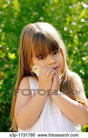 Little girl and chick View Large Photo Image Stock Image - Little girl and chick. Fotosearch